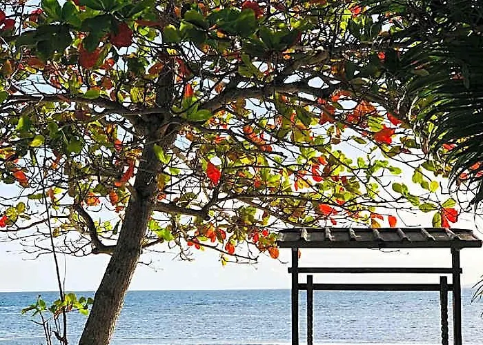 Resort Hoyohoy 3*