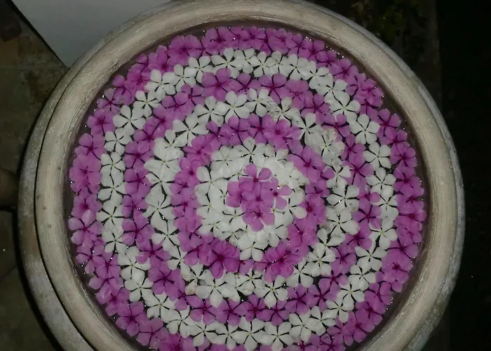 Hoyohoy 3*